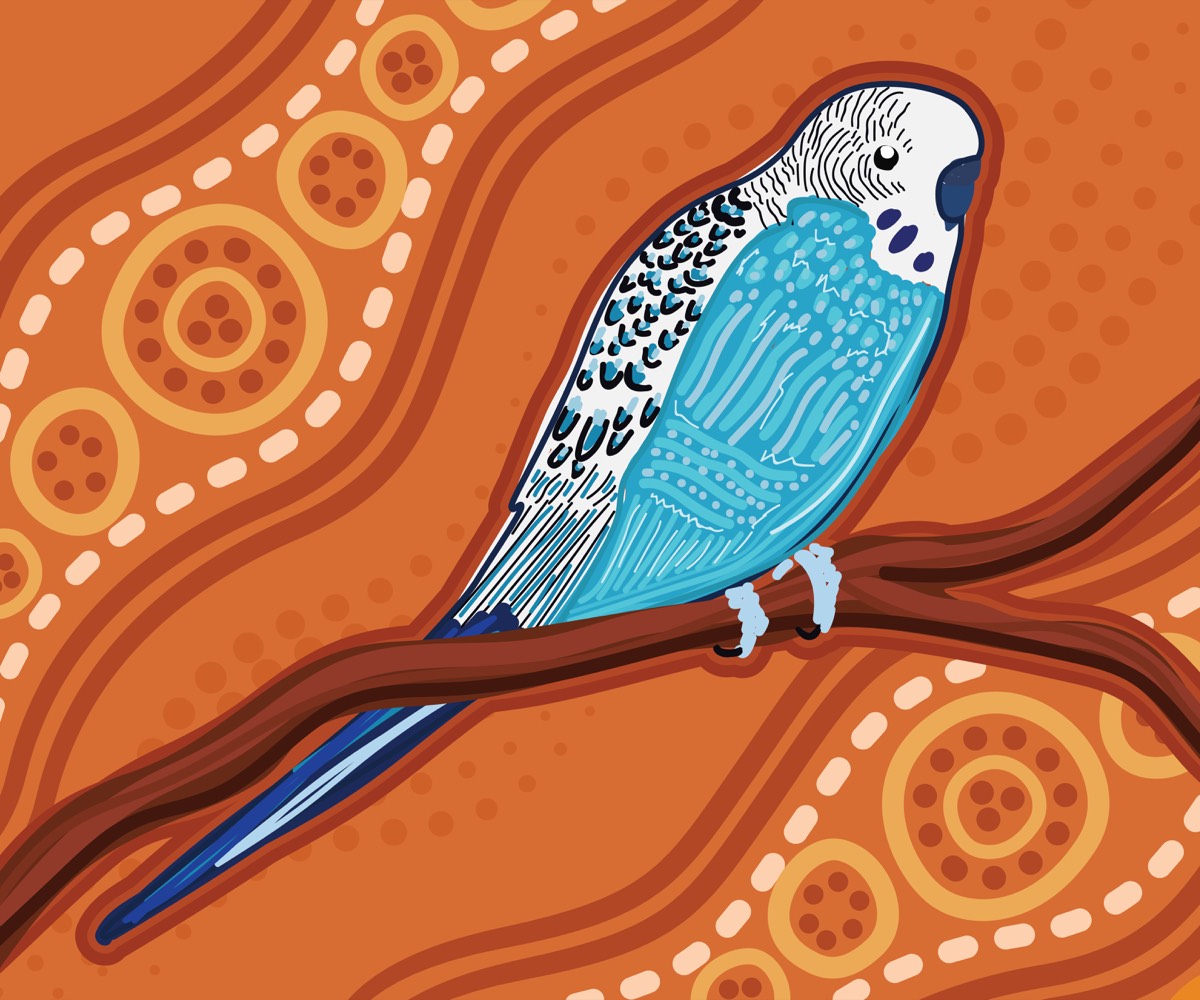 Artwork of a blue budgerigar perched on a branch, painted in dot style on an ochre background with circle motifs